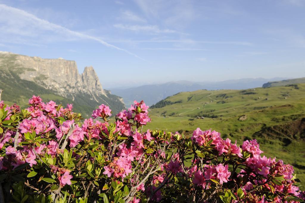 Apartment Sella Siusi Kültér fotó
